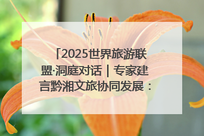 2025世界旅游联盟·洞庭对话｜专家建言黔湘文旅协同发展：聚焦产品稀缺性 深化区域经验共享