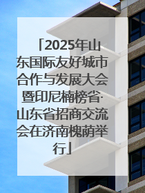 2025年山东国际友好城市合作与发展大会暨印尼楠榜省·山东省招商交流会在济南槐荫举行