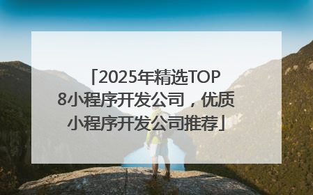 2025年精选TOP8小程序开发公司，优质小程序开发公司推荐