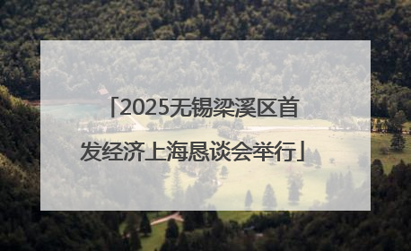 2025无锡梁溪区首发经济上海恳谈会举行