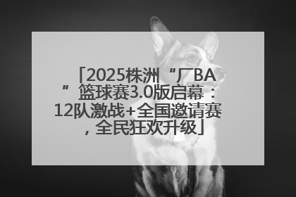 2025株洲“厂BA”篮球赛3.0版启幕：12队激战+全国邀请赛，全民狂欢升级