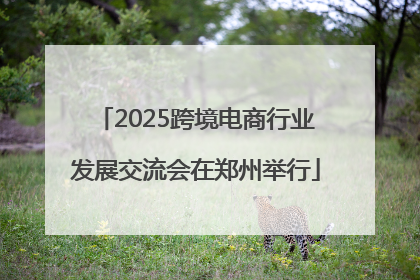 2025跨境电商行业发展交流会在郑州举行