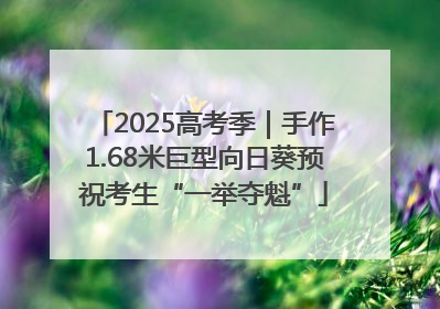2025高考季｜手作1.68米巨型向日葵预祝考生“一举夺魁”